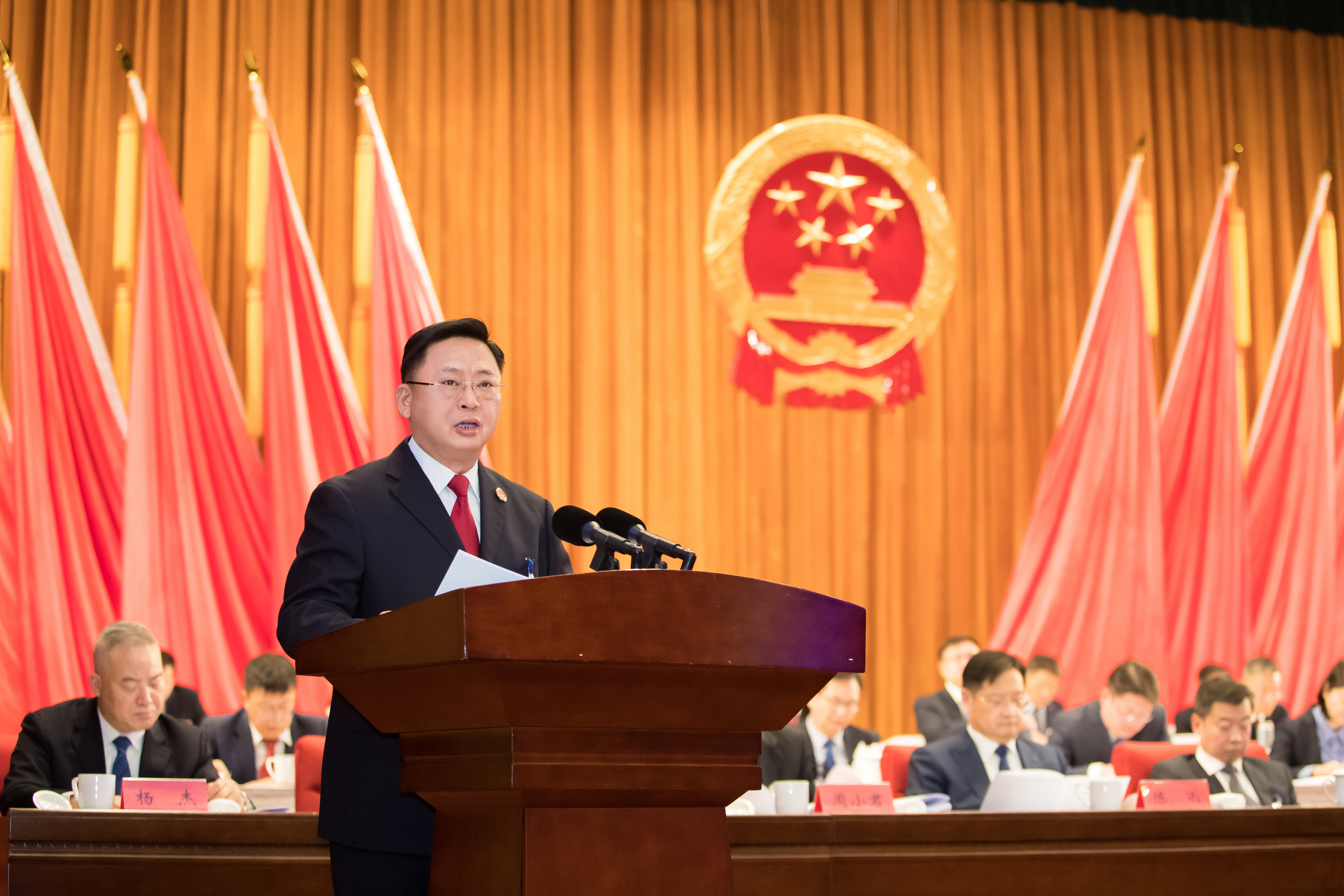 顾检作工作报告.jpg